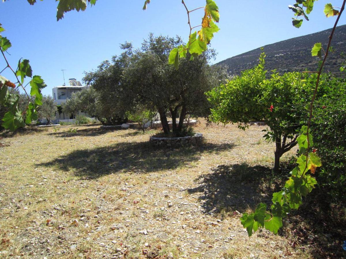Elisso Villas Platis Gialos  外观 照片