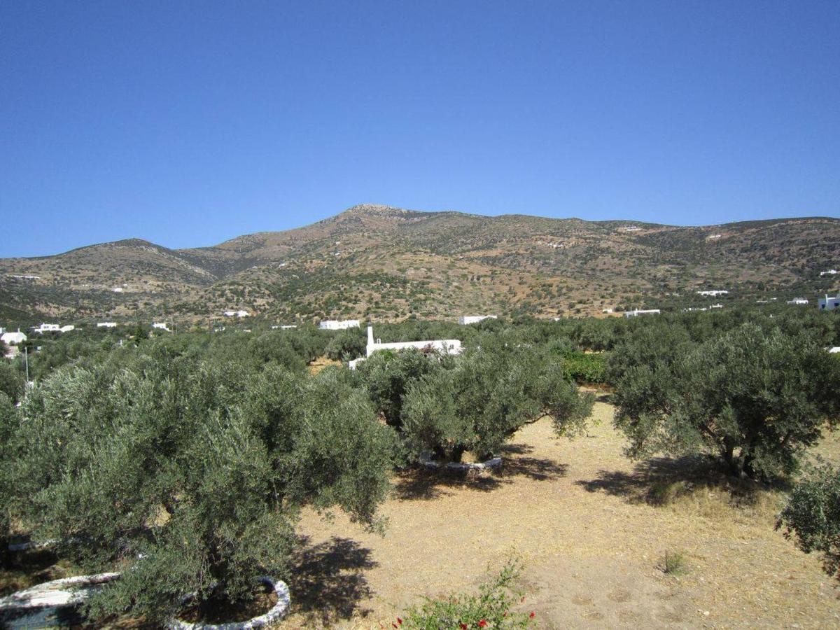 Elisso Villas Platis Gialos  外观 照片