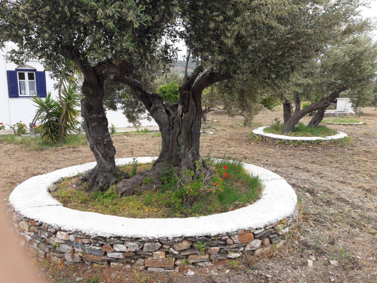 Elisso Villas Platis Gialos  外观 照片
