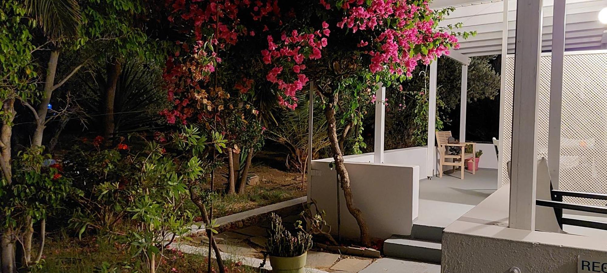 Elisso Villas Platis Gialos  外观 照片