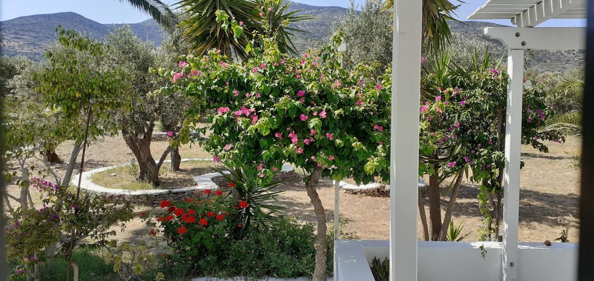 Elisso Villas Platis Gialos  外观 照片