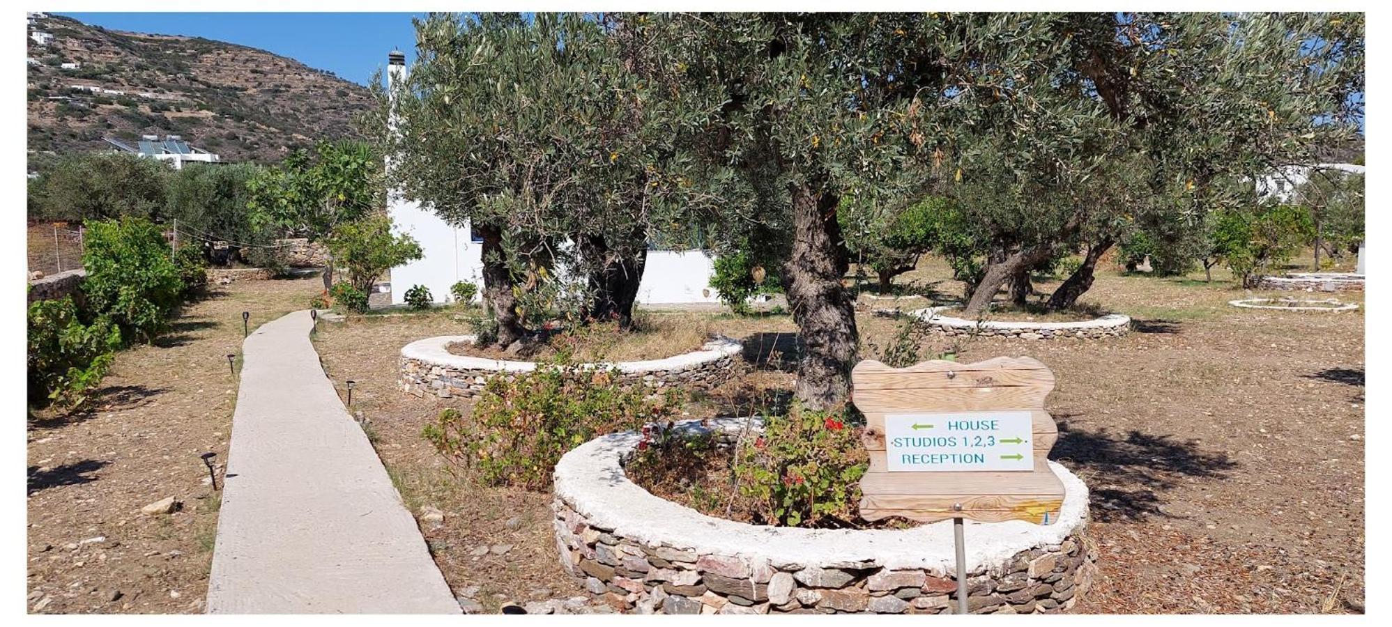Elisso Villas Platis Gialos  外观 照片